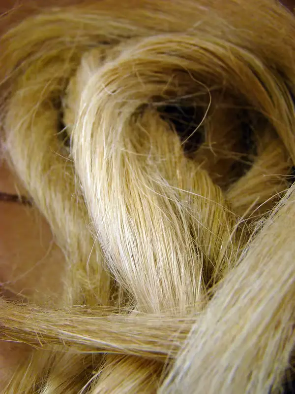 Flax Fiber